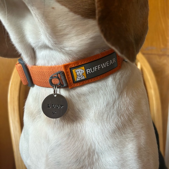 *PERSONALIZED* Hand Stamped Custom Dog Name Tag - Picture 3 of 7